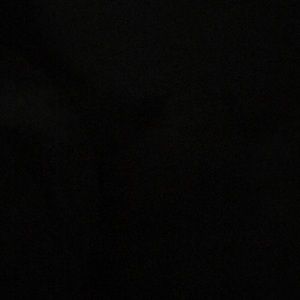 Meet your Posher, Dee